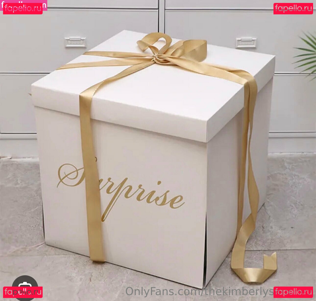 officialcheekykim / thekimberlysanchez Onlyfans Photo Gallery 