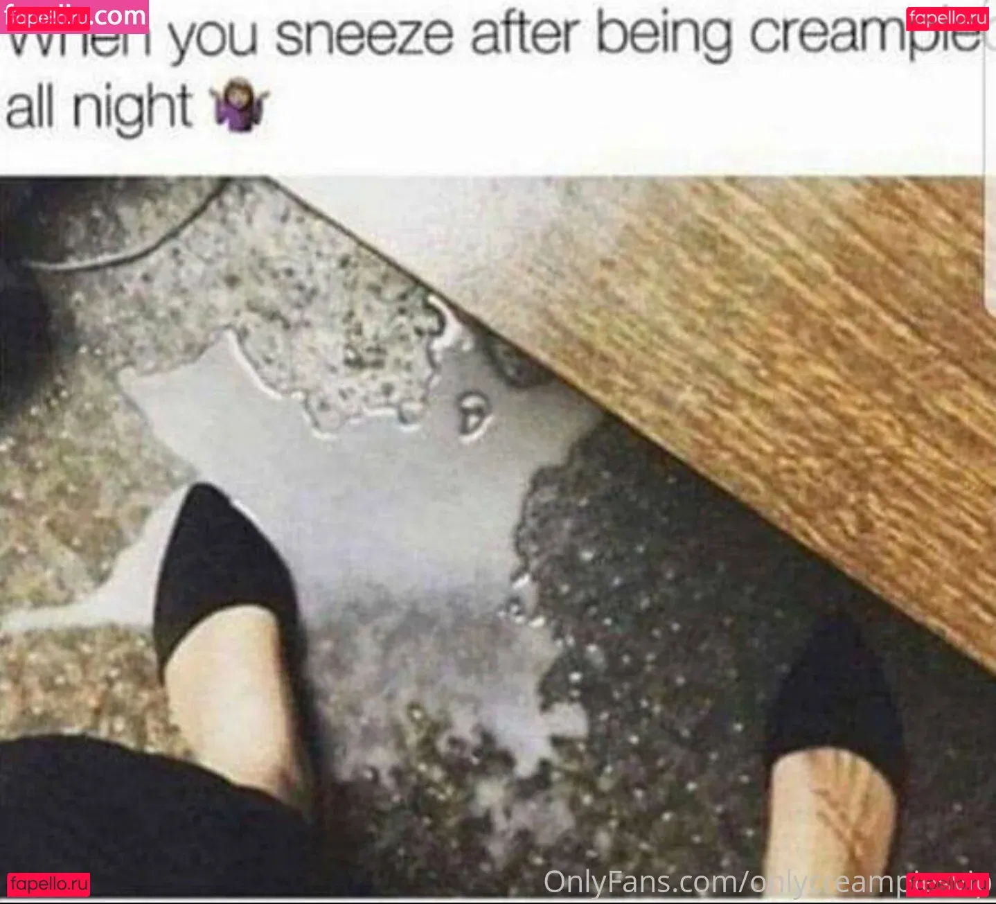 welovepiesvip Onlyfans Photo Gallery 