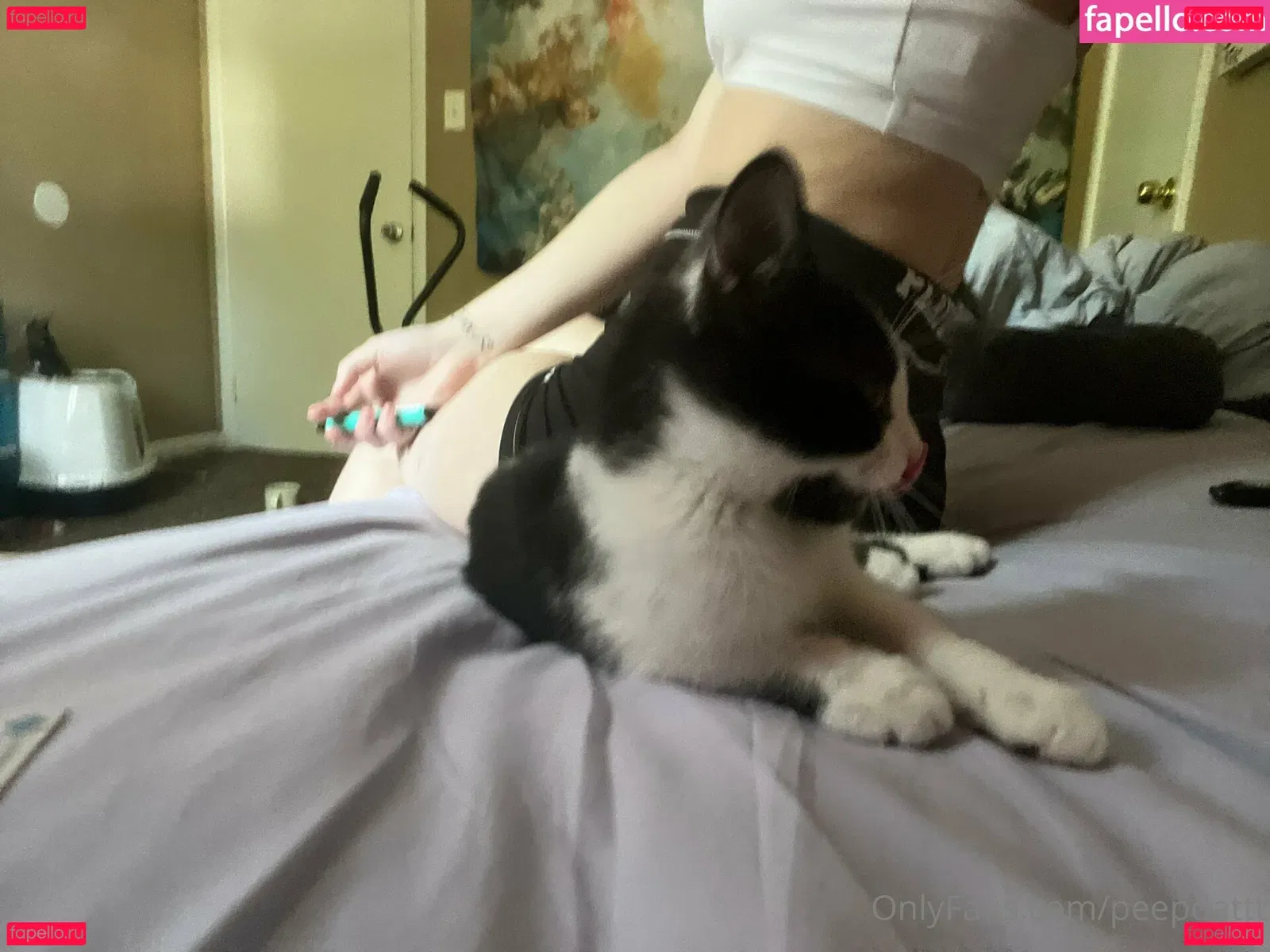 Peepdattt Onlyfans Photo Gallery 