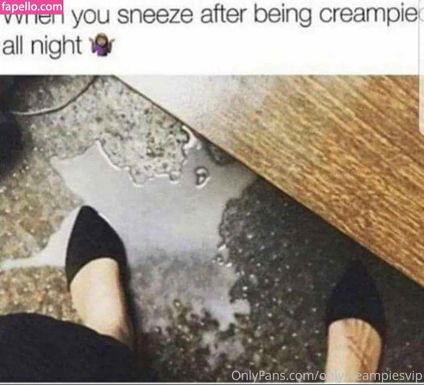 welovepiesvip Onlyfans Photo Gallery 