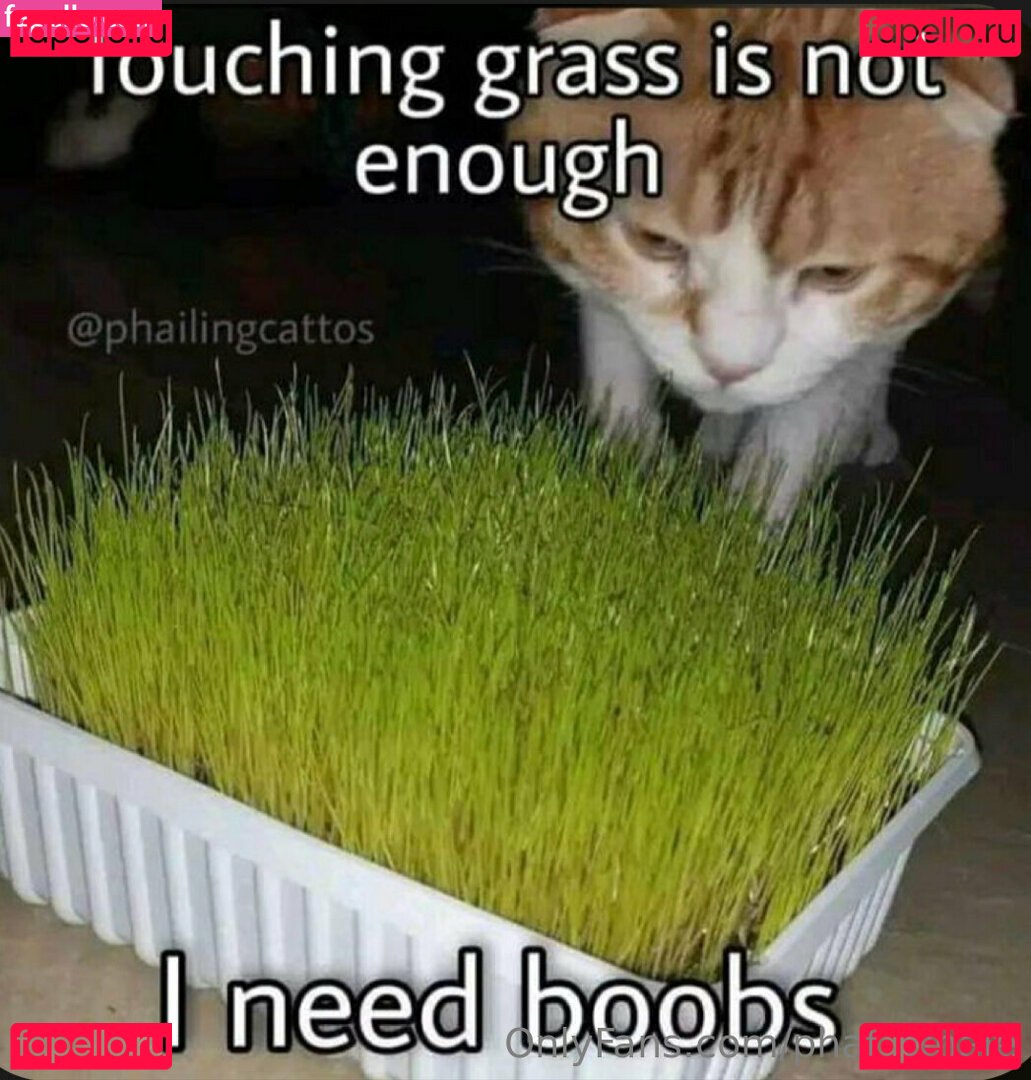 phat__whale1 / phat_whale Onlyfans Photo Gallery 