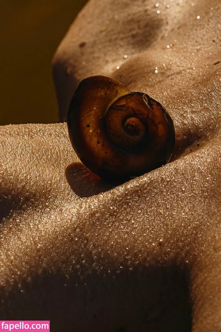 Meenfox Onlyfans Photo Gallery 