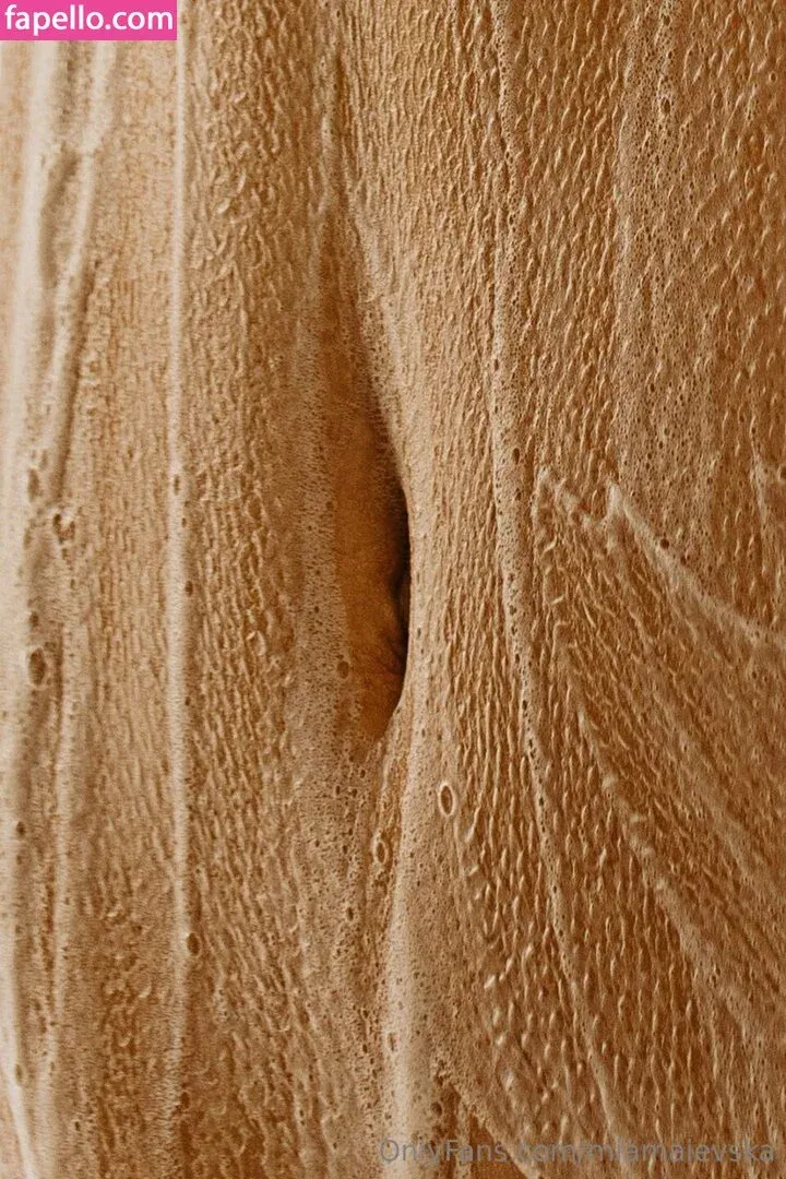 Meenfox Onlyfans Photo Gallery 