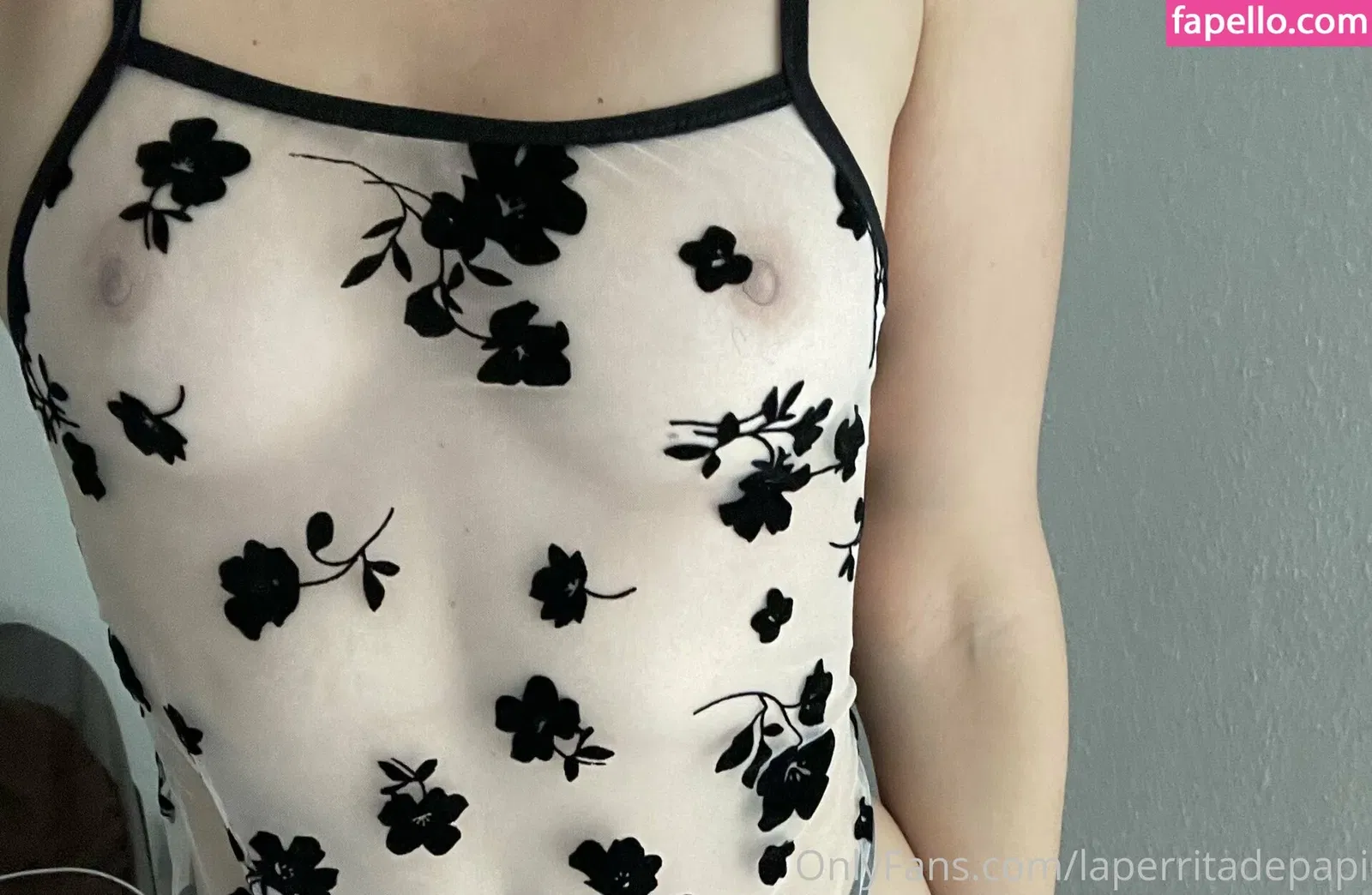 laperritadepapi Onlyfans Photo Gallery 