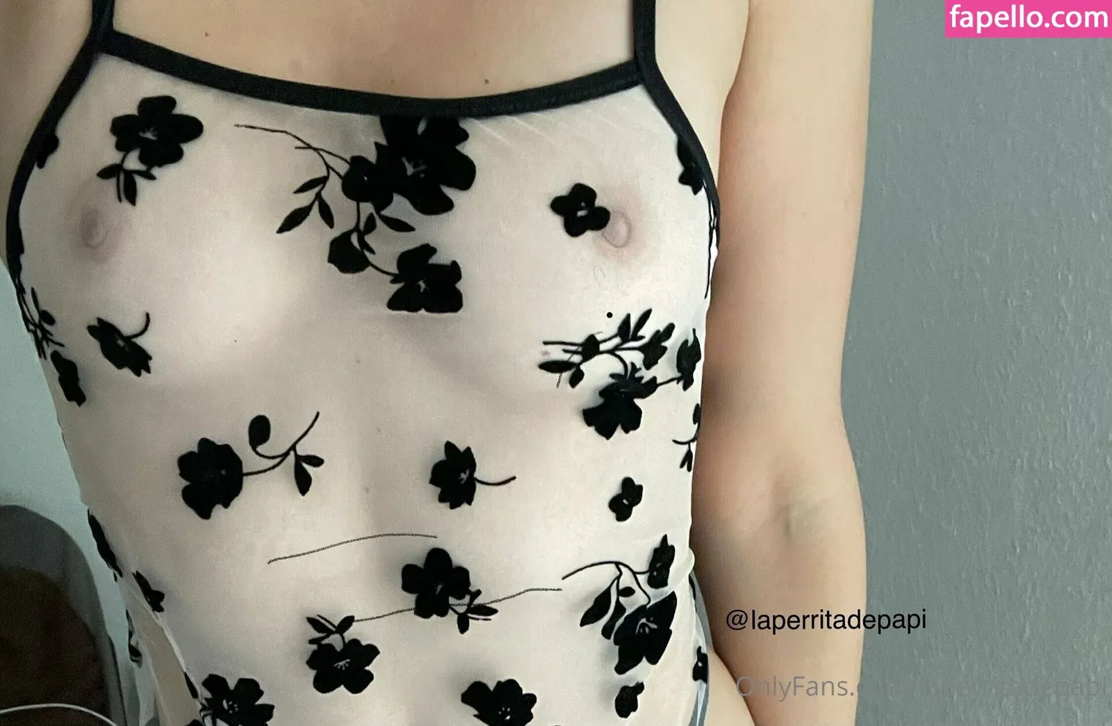 laperritadepapi Onlyfans Photo Gallery 
