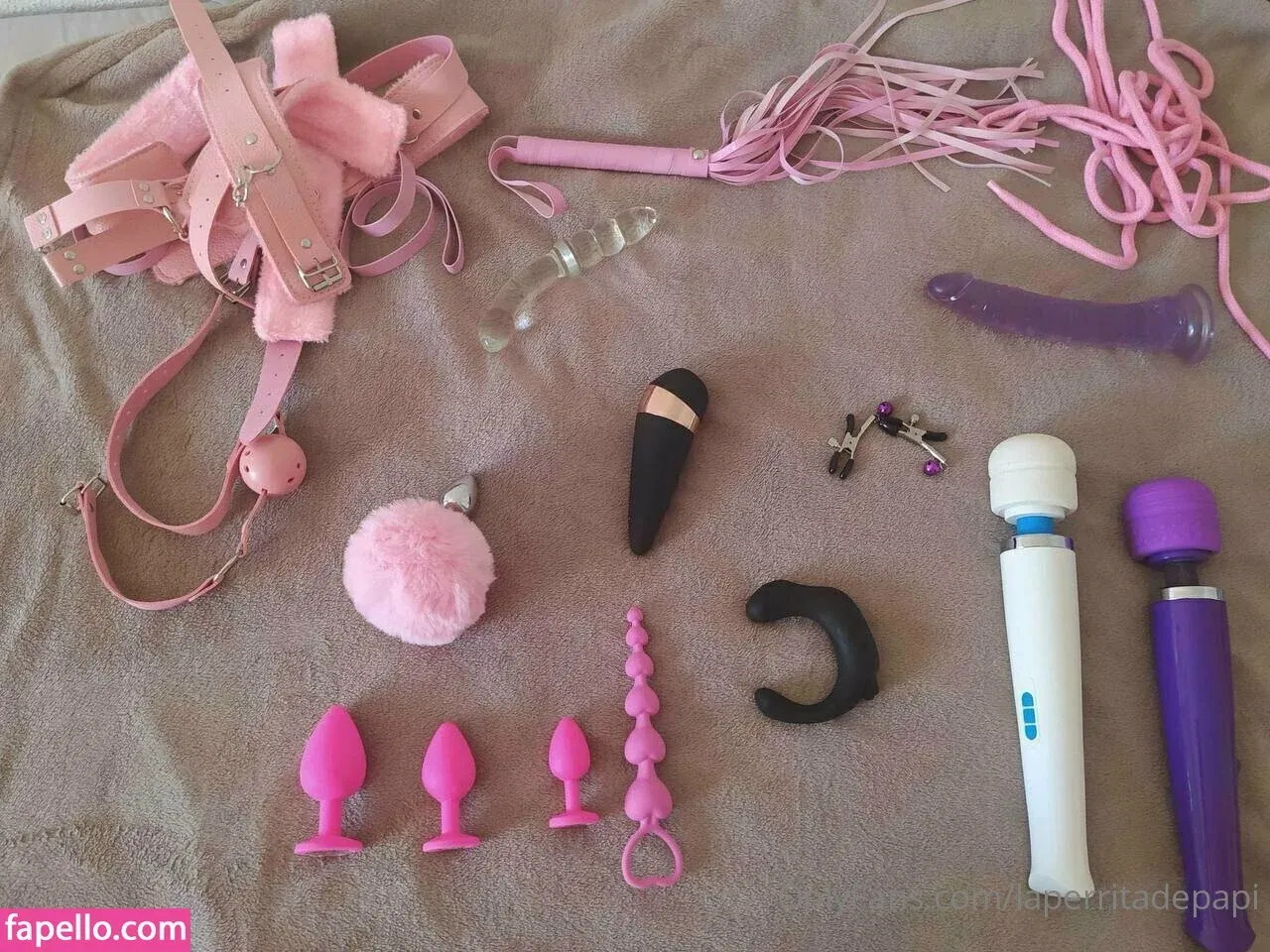 laperritadepapi Onlyfans Photo Gallery 