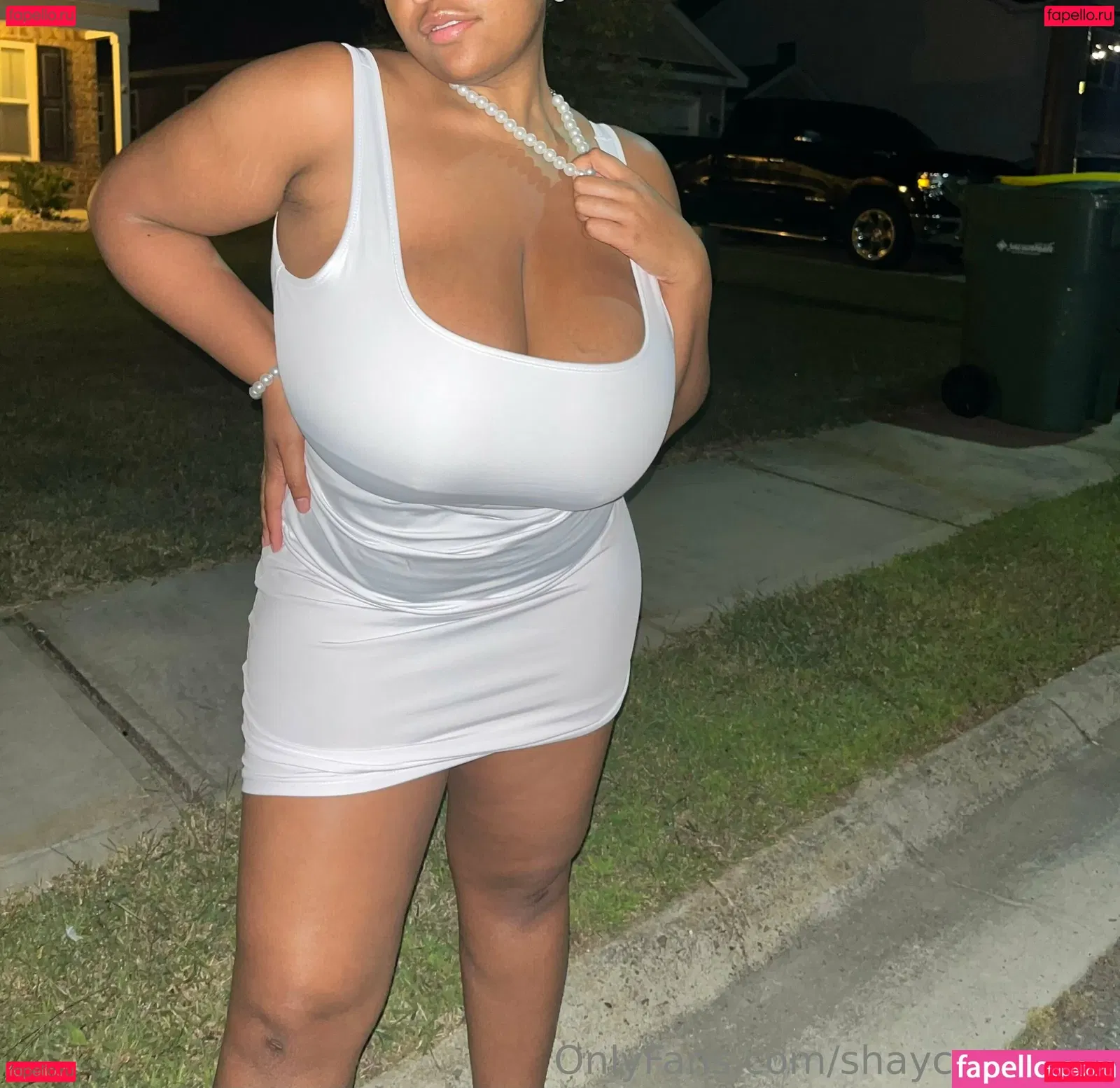 shaycrazychic Onlyfans Photo Gallery 