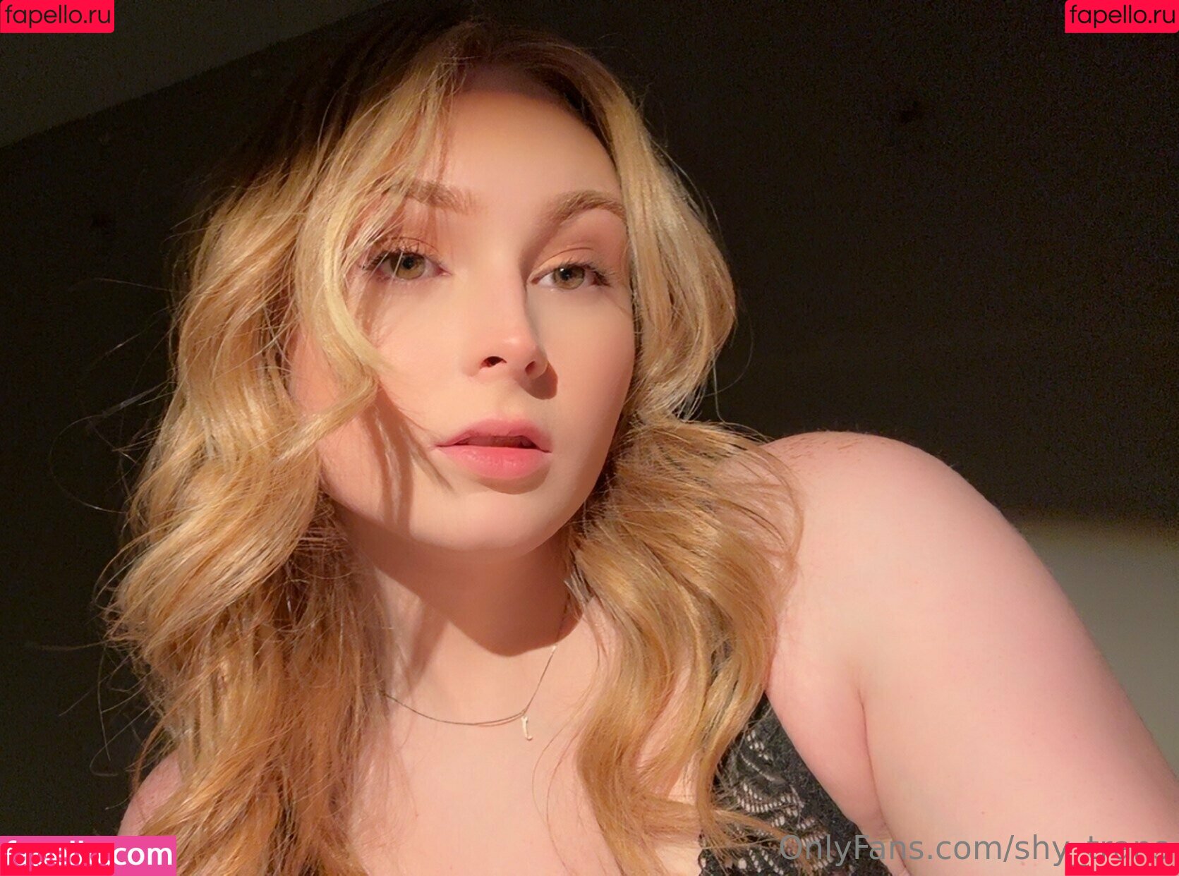 Shy_Trans Onlyfans Photo Gallery 