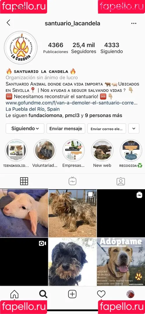 lo.lita18 Onlyfans Photo Gallery 