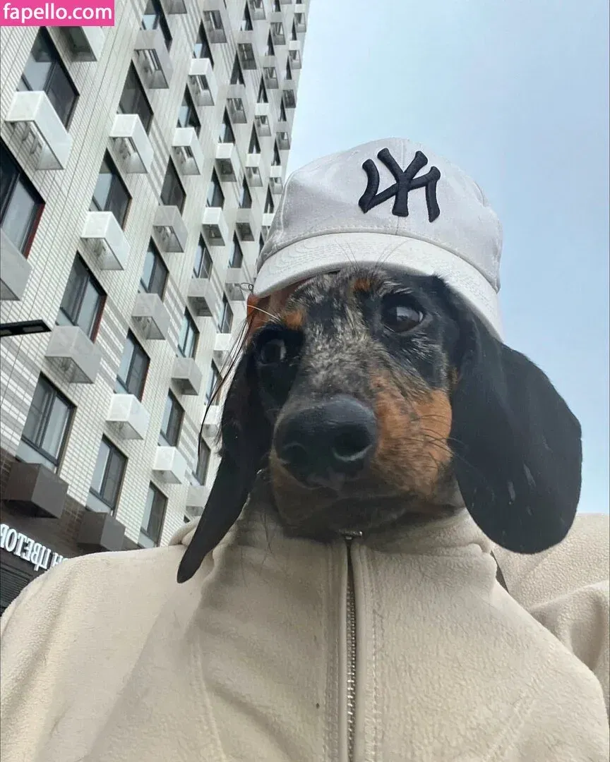 Daria Perel Onlyfans Photo Gallery 