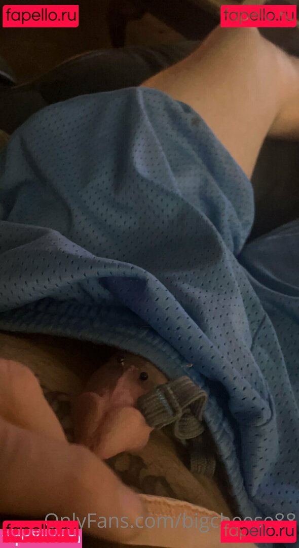 bigcheese88 Onlyfans Photo Gallery 