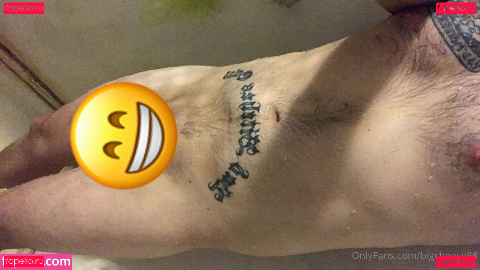 bigcheese88 Onlyfans Photo Gallery 