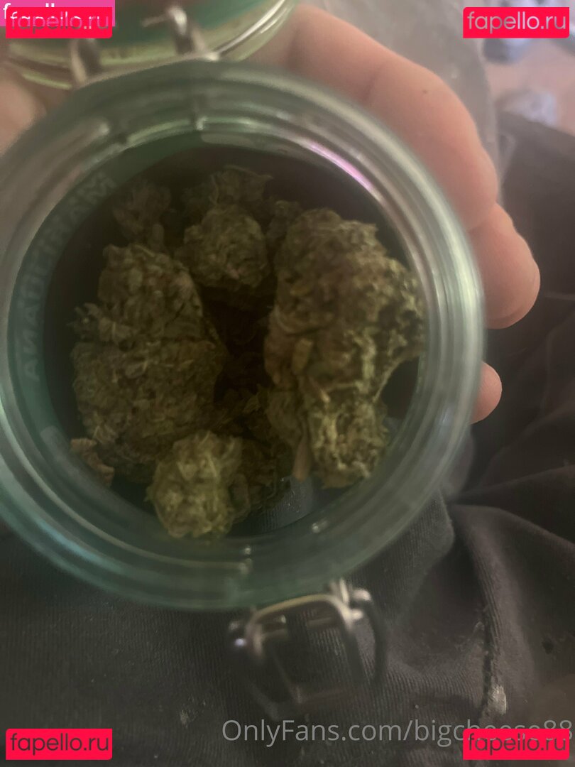 bigcheese88 Onlyfans Photo Gallery 