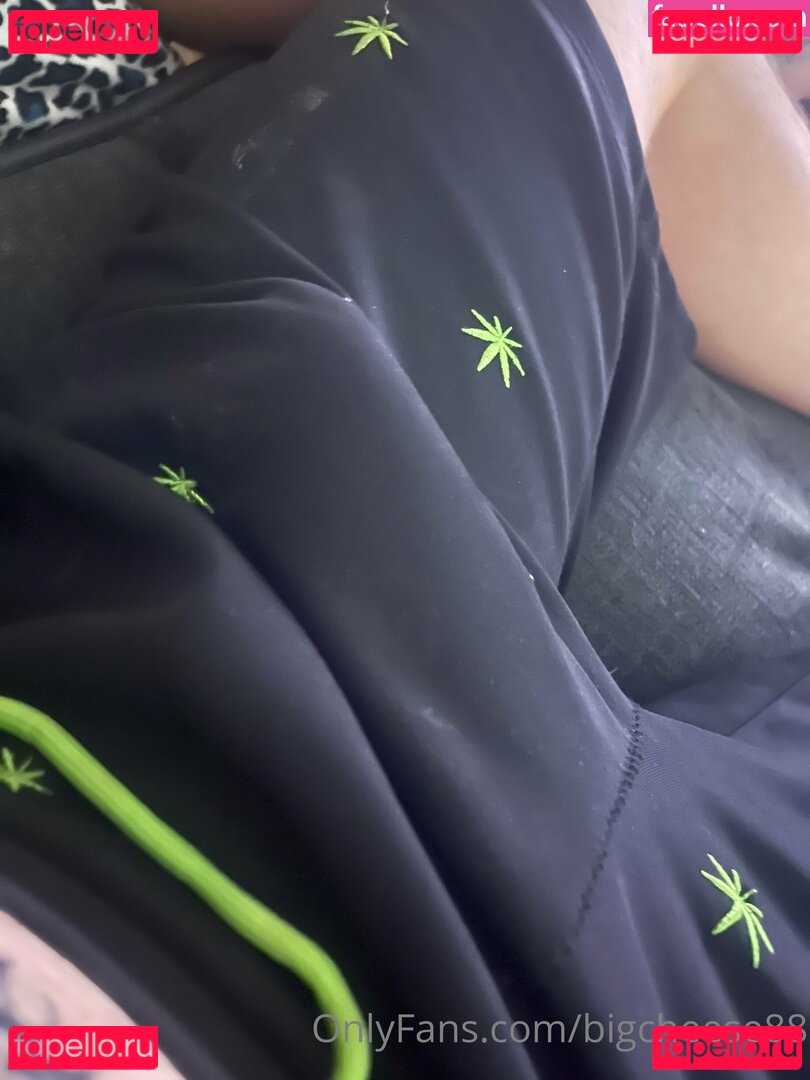 bigcheese88 Onlyfans Photo Gallery 