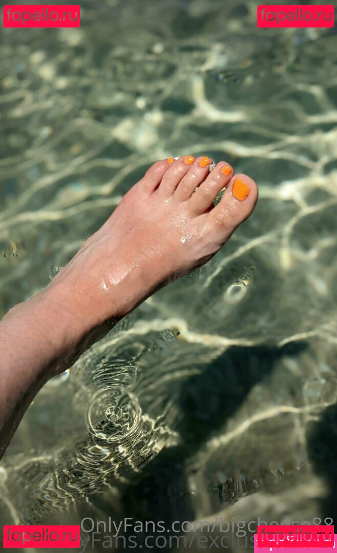 bigcheese88 Onlyfans Photo Gallery 