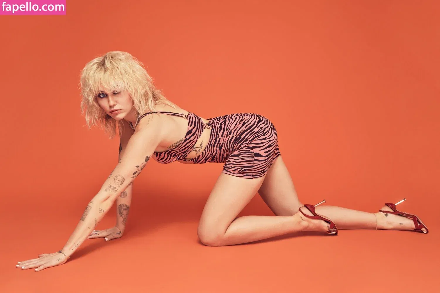 Miley Cyrus Onlyfans Photo Gallery 