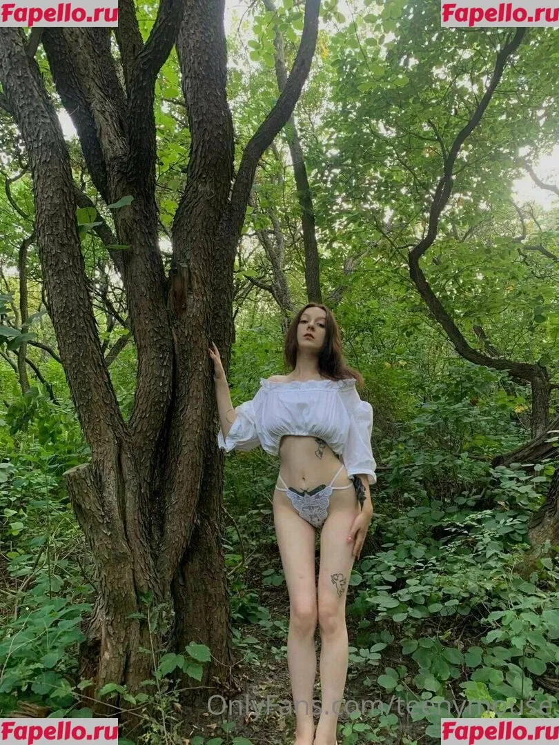 TeenyMouse Onlyfans Photo Gallery 