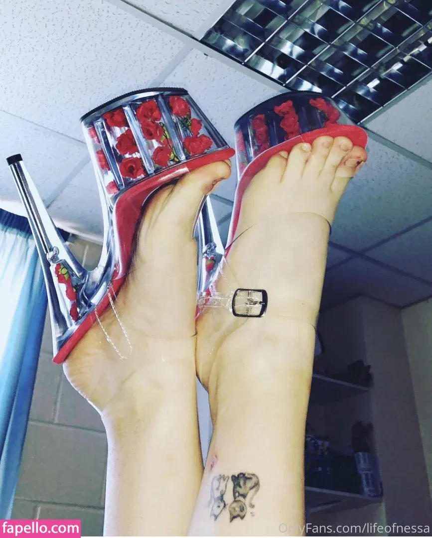 lifeofnessa Onlyfans Photo Gallery 