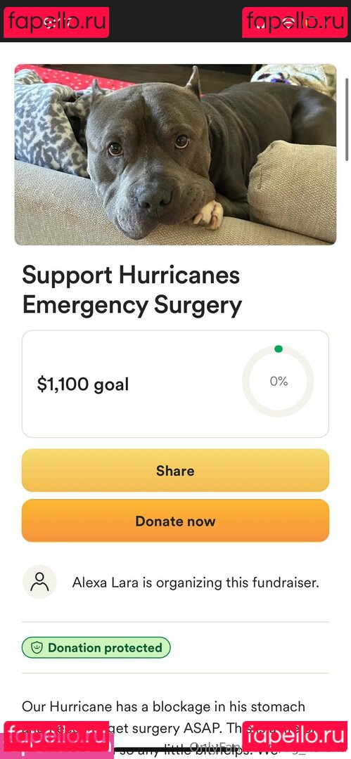 lexotica_ofi / og_xolexa Onlyfans Photo Gallery 