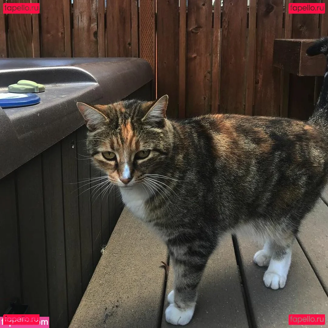 Makayla Onlyfans Photo Gallery 