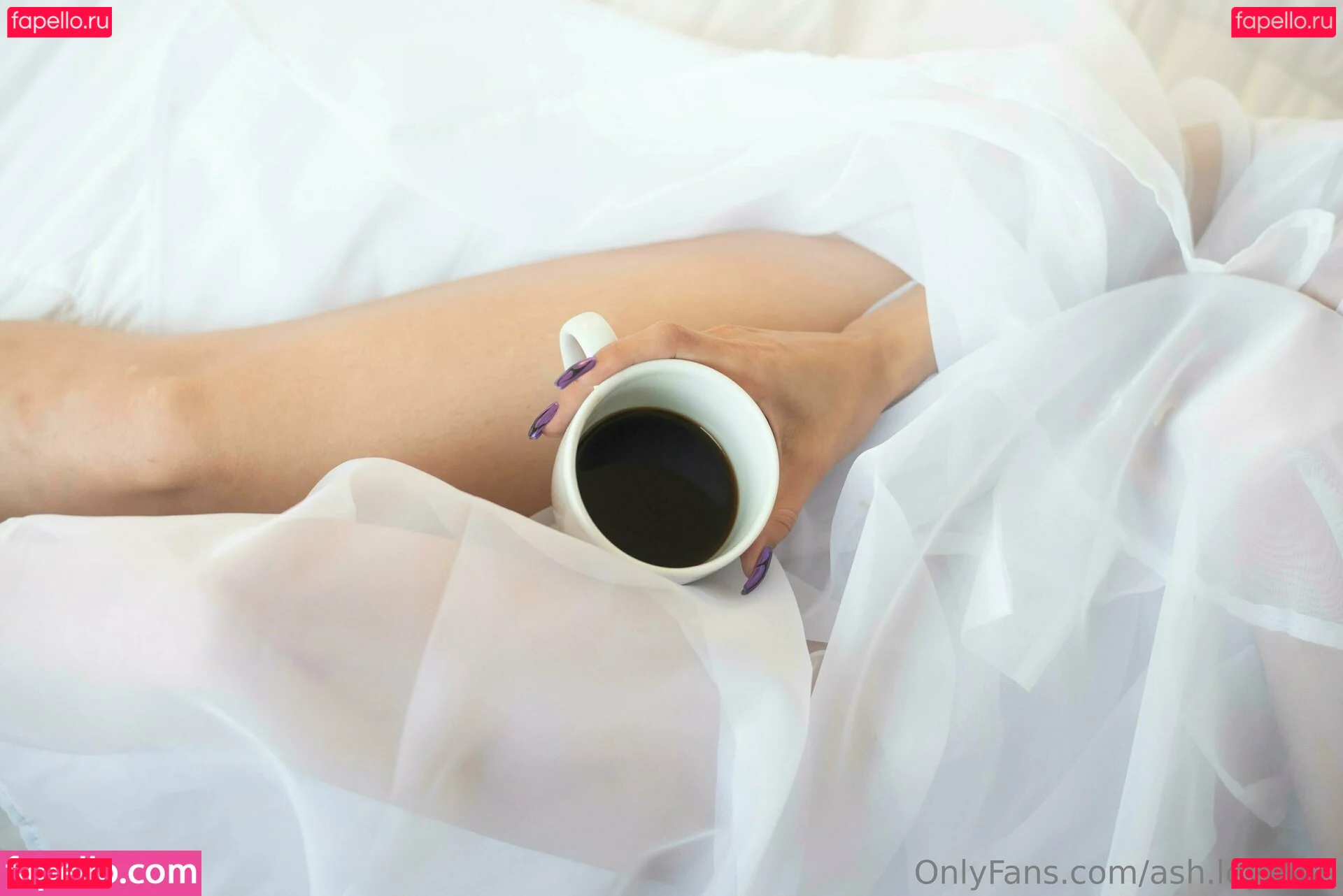 ash.ley.rose Onlyfans Photo Gallery 