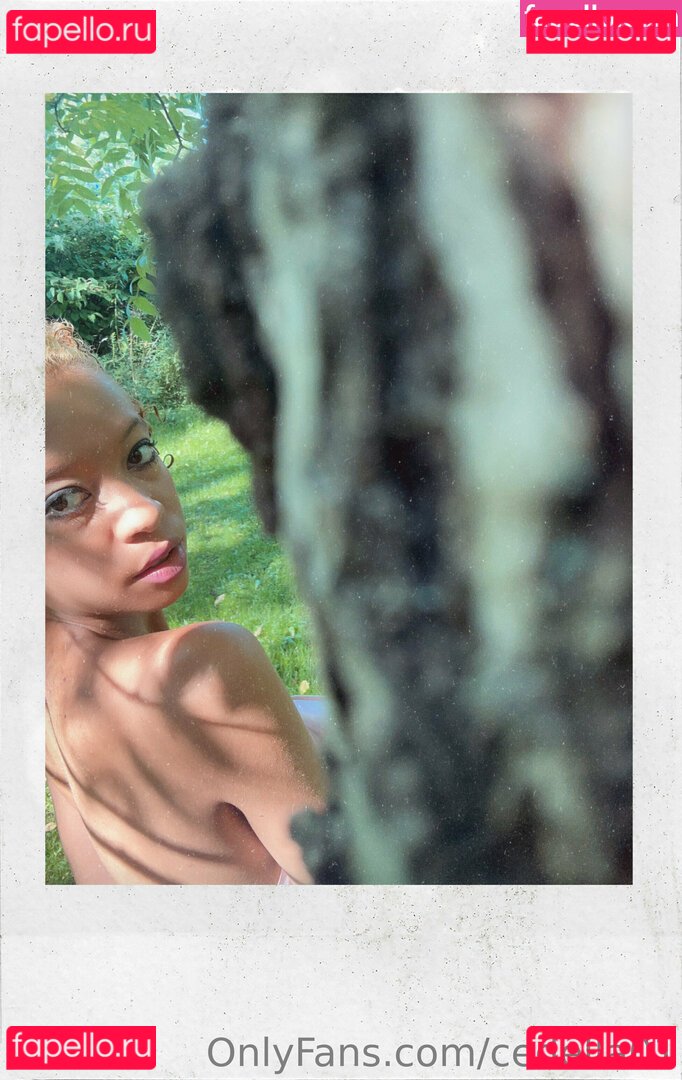 cedella01 / cedella1 Onlyfans Photo Gallery 