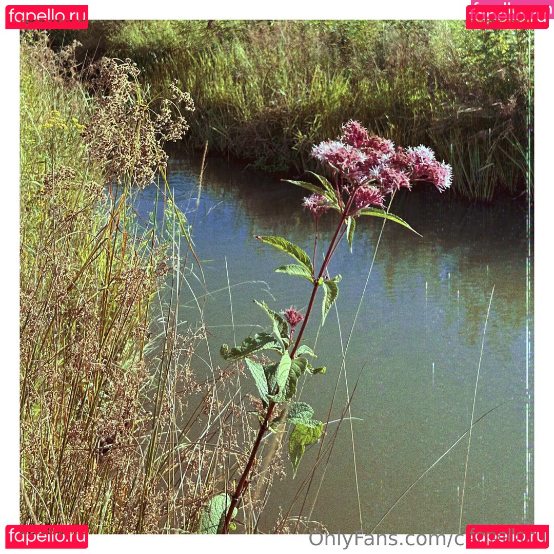 cedella01 / cedella1 Onlyfans Photo Gallery 