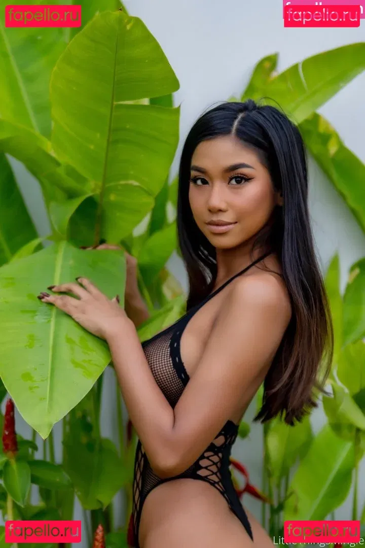 littlethingsmingle Onlyfans Photo Gallery 