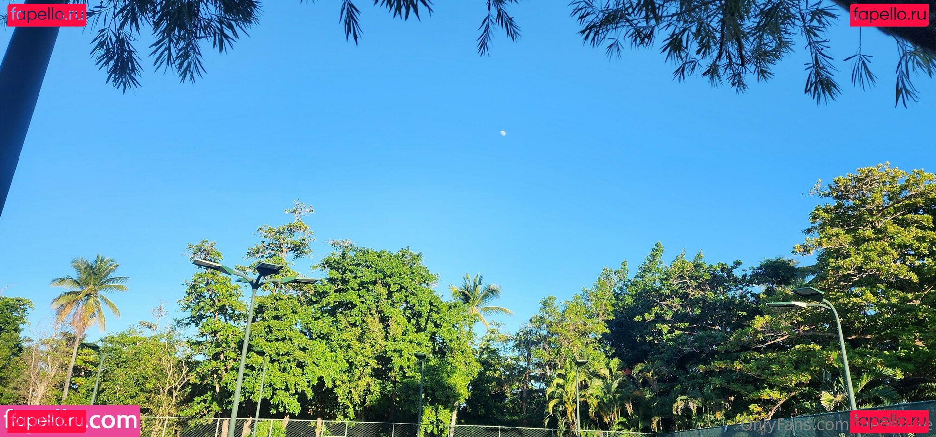 meg44life / meganlife Onlyfans Photo Gallery 