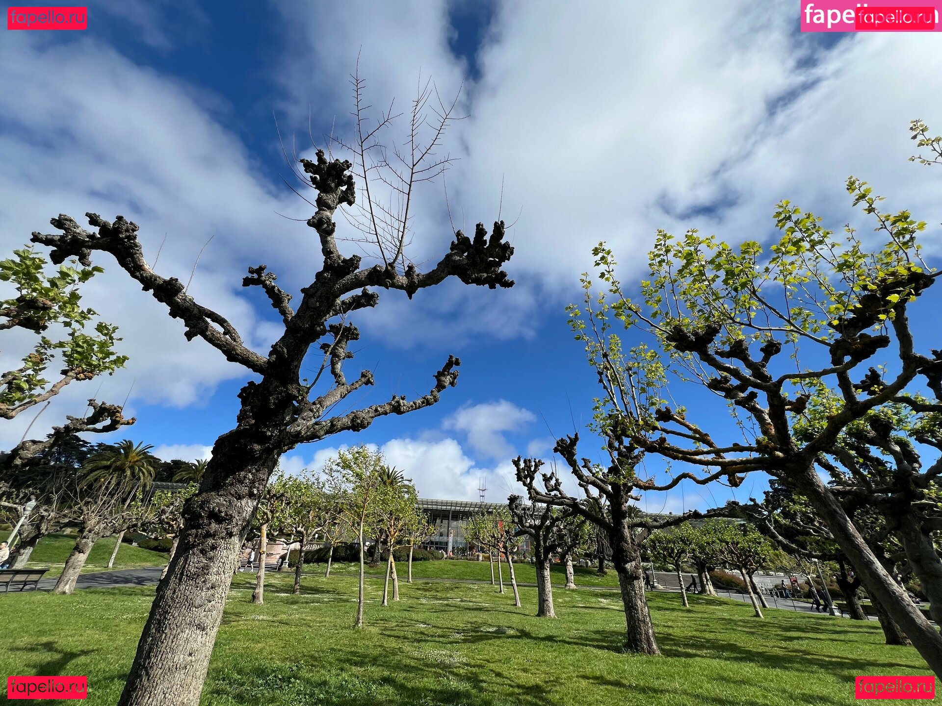 debiiworks / iambigduch Onlyfans Photo Gallery 