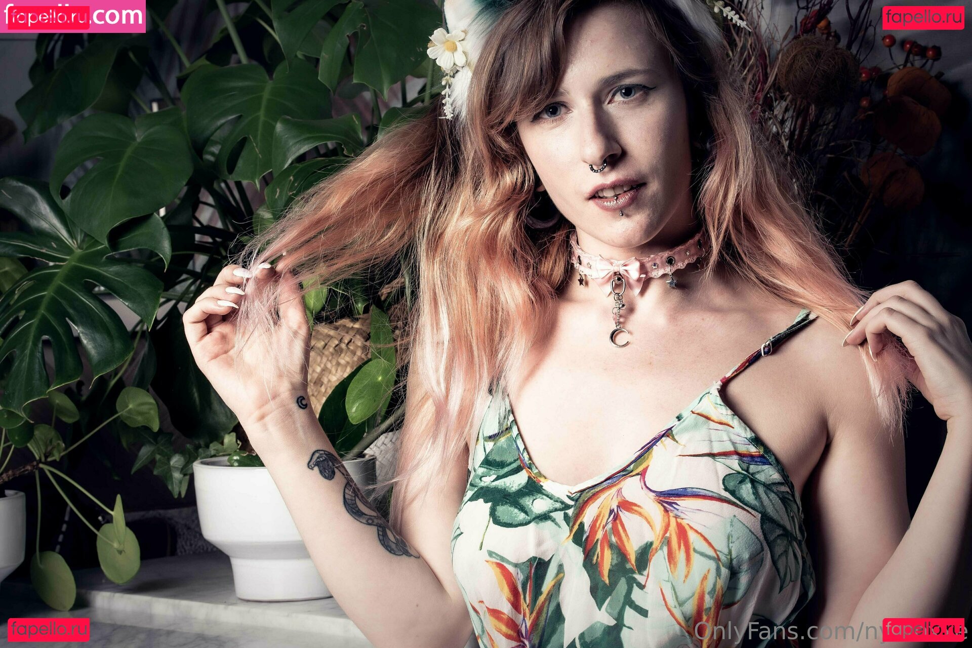 nyxfoxxe Onlyfans Photo Gallery 