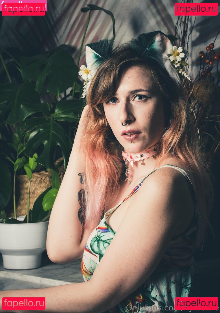 nyxfoxxe Onlyfans Photo Gallery 