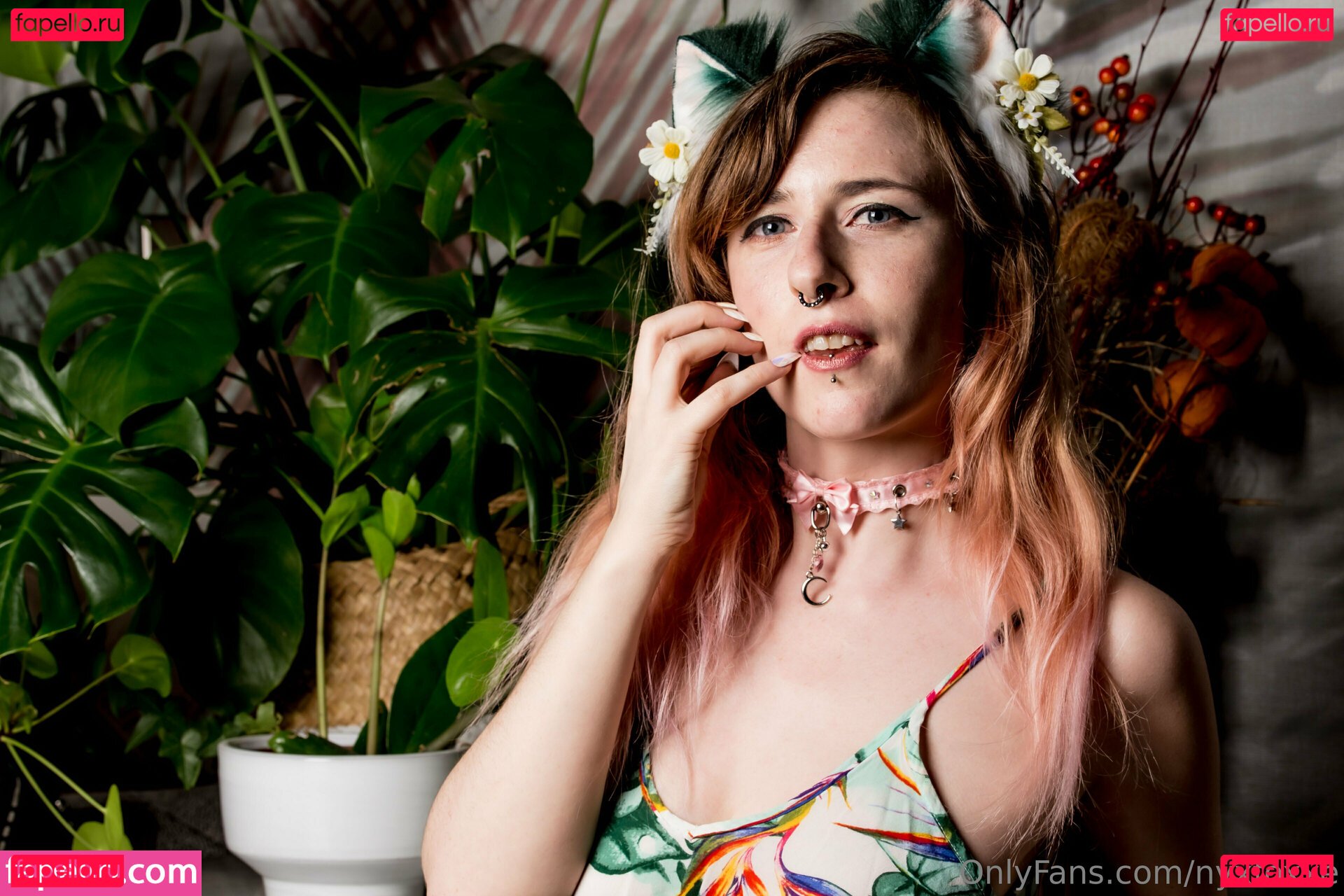 nyxfoxxe Onlyfans Photo Gallery 