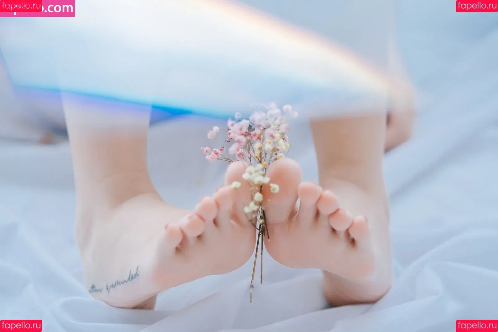 Rurusama9 Onlyfans Photo Gallery 