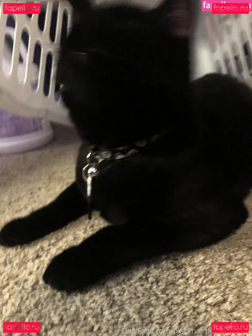 blackhairporcelainskin Onlyfans Photo Gallery 