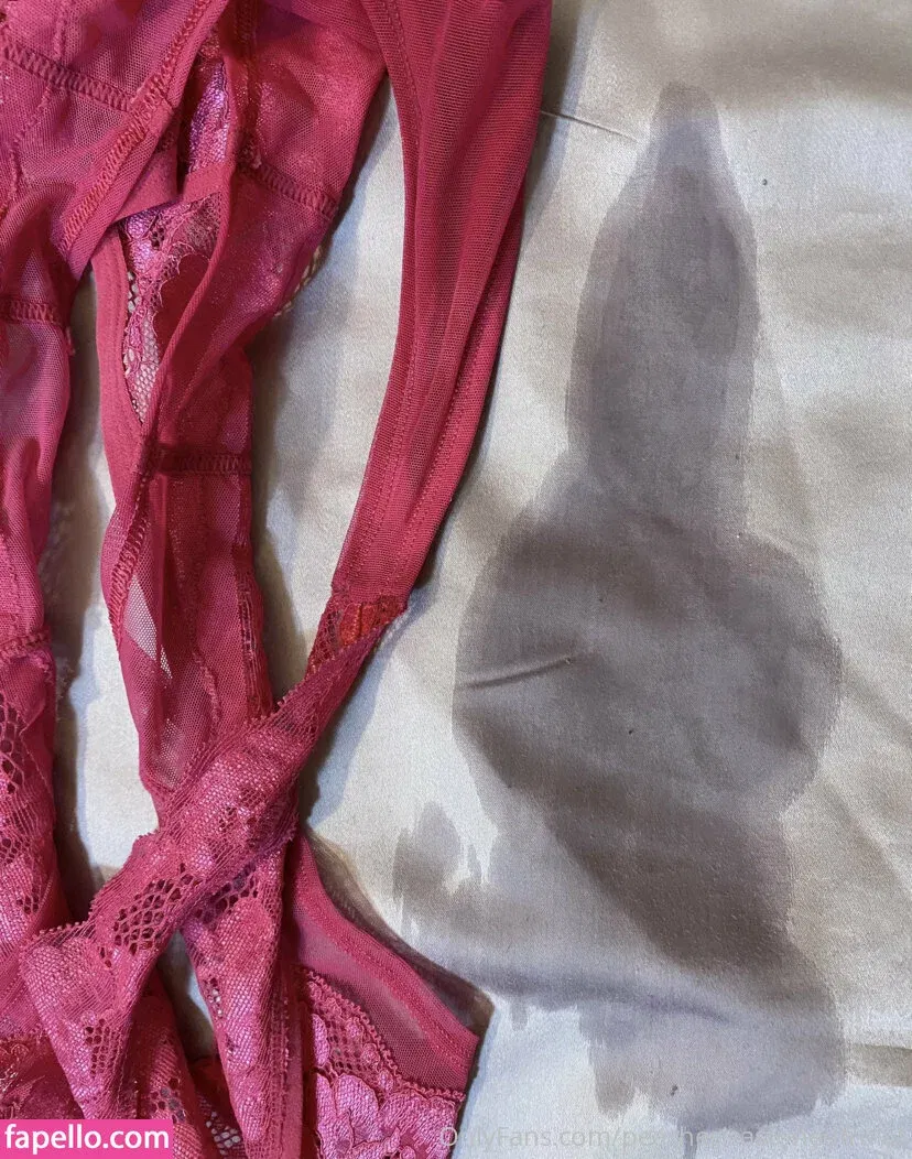 peachesisastonedfruit2 Onlyfans Photo Gallery 