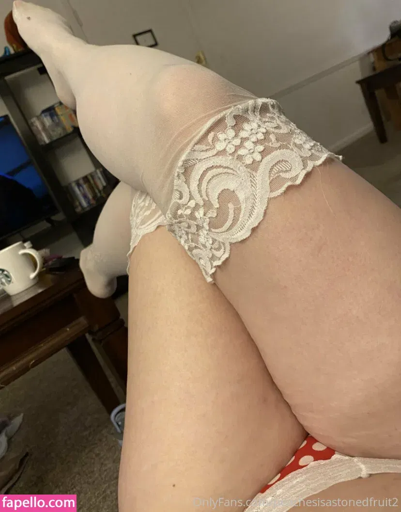 peachesisastonedfruit2 Onlyfans Photo Gallery 