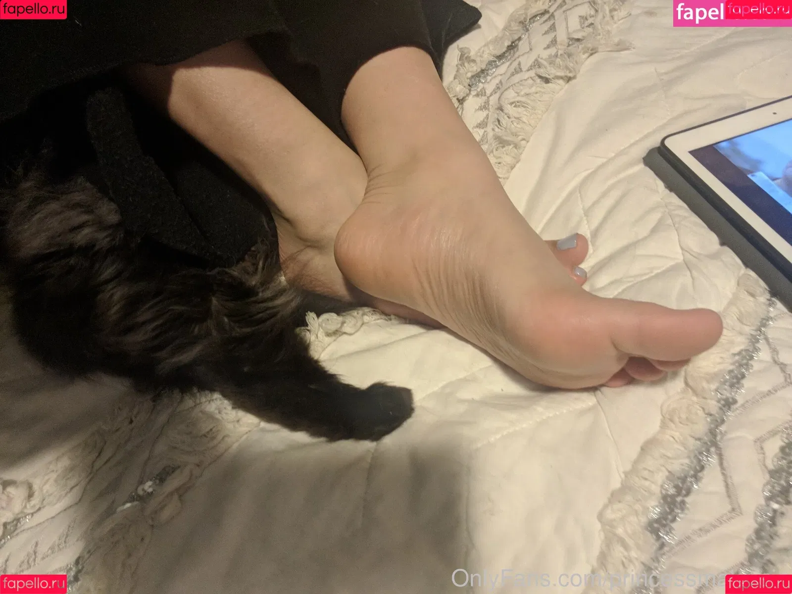 Diana Tarinova Onlyfans Photo Gallery 