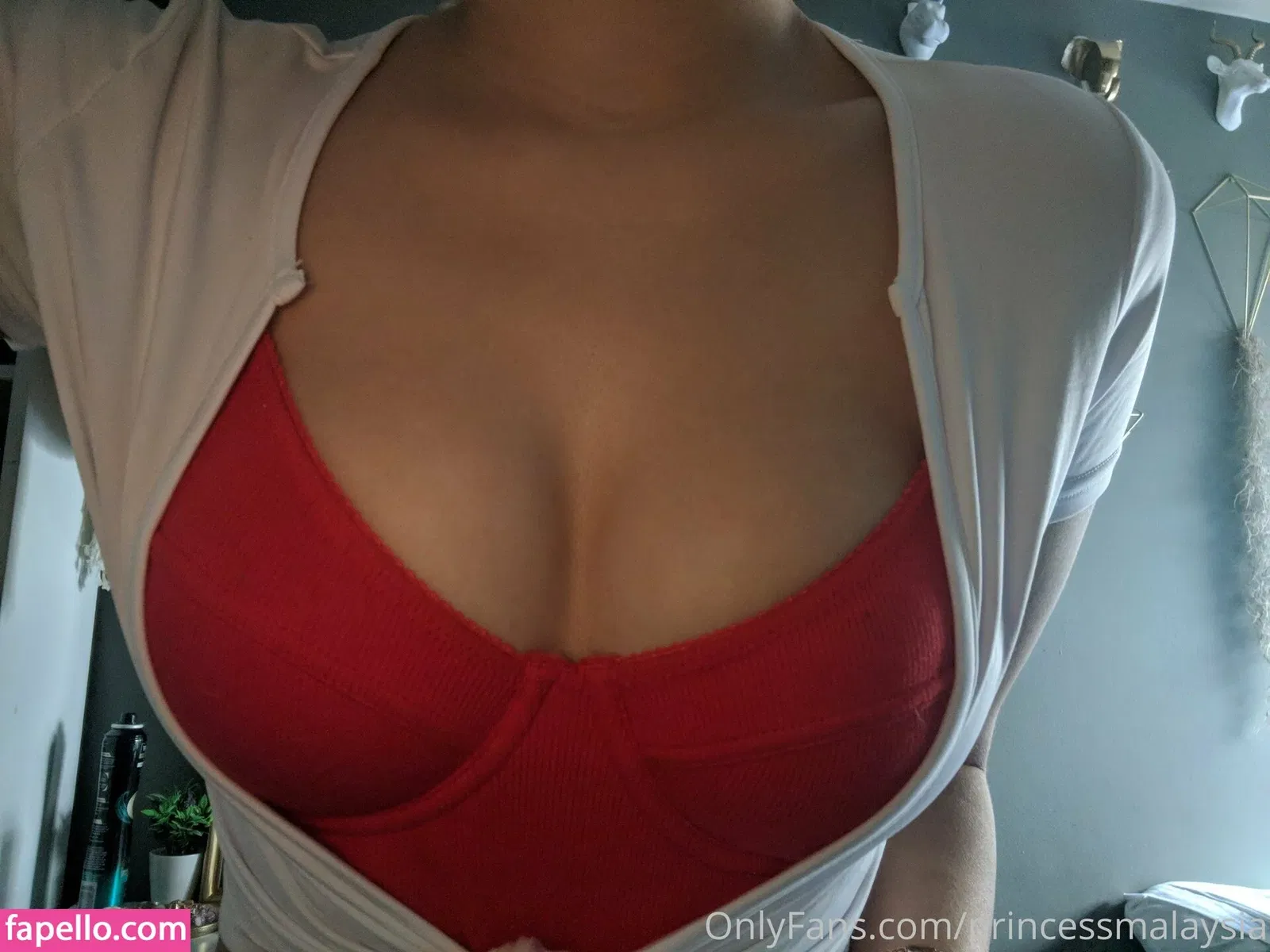 Diana Tarinova Onlyfans Photo Gallery 