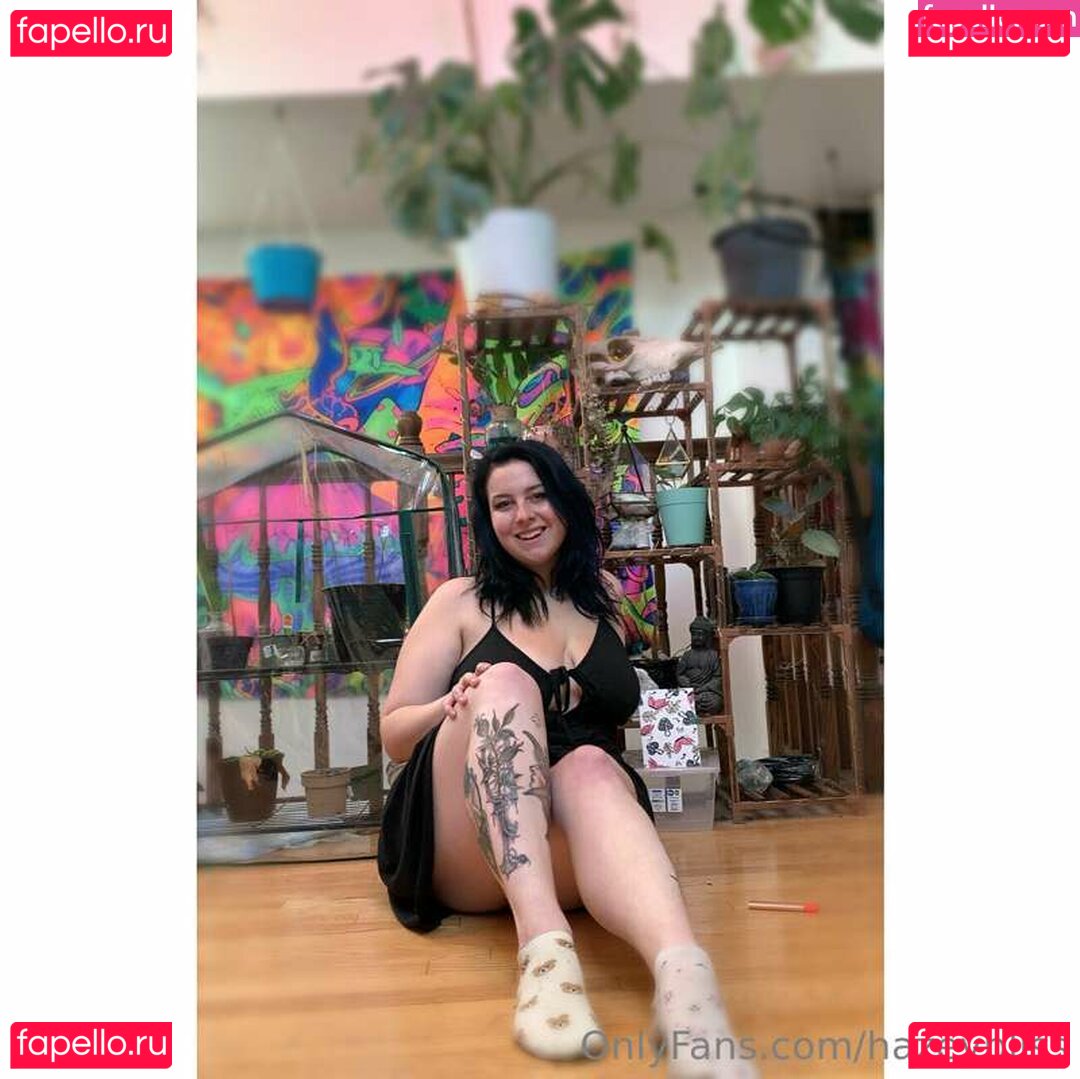 Hazey Bliss / Hazeybliss