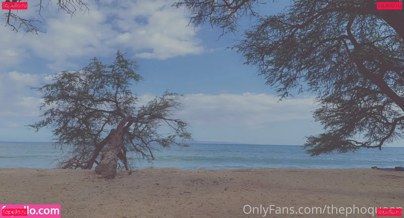 thephoqueen Onlyfans Photo Gallery 