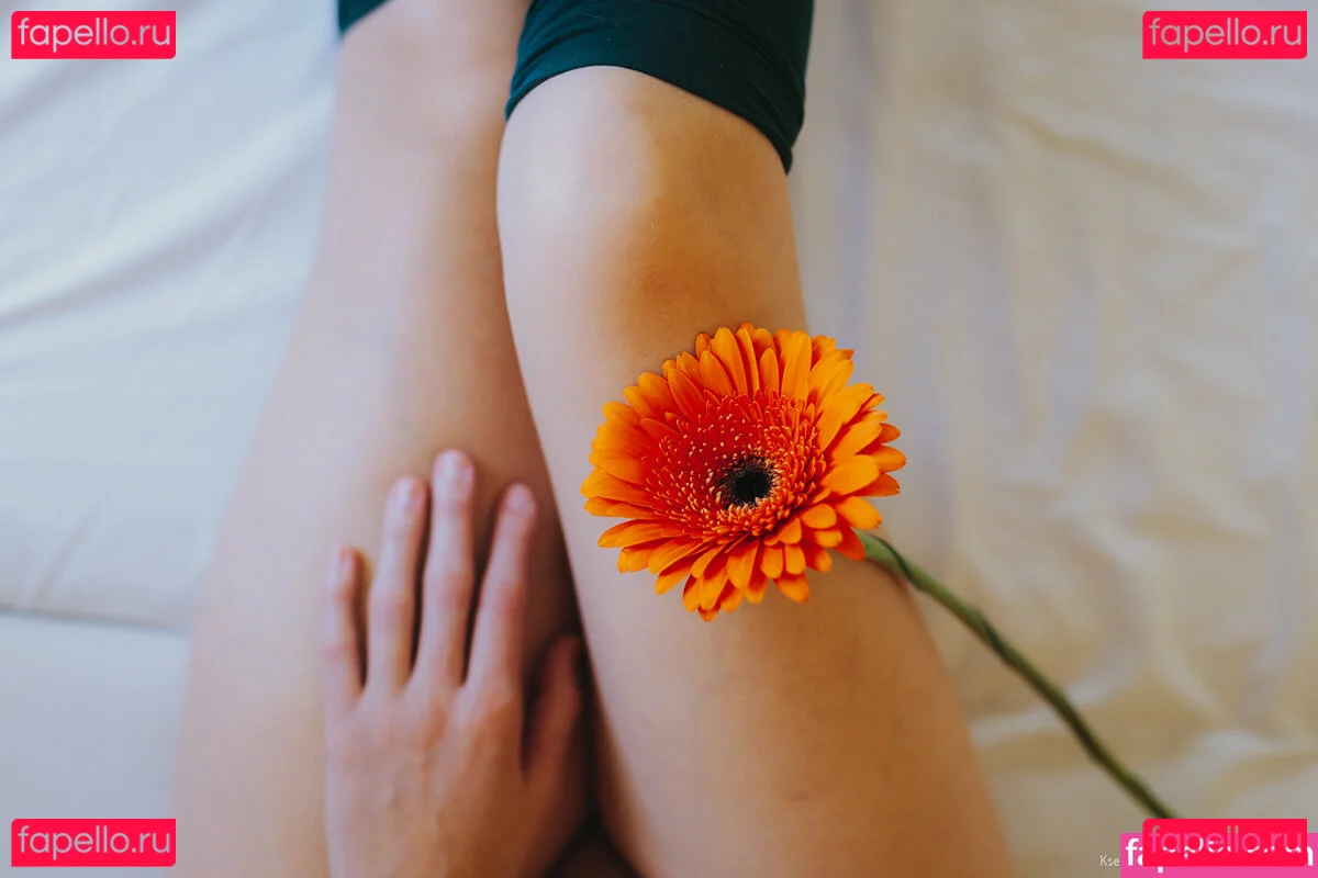 jinadaisy Onlyfans Photo Gallery 