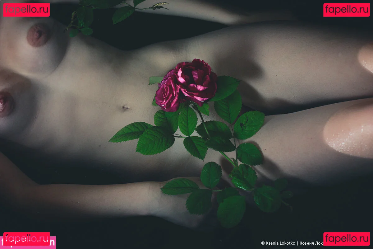 jinadaisy Onlyfans Photo Gallery 