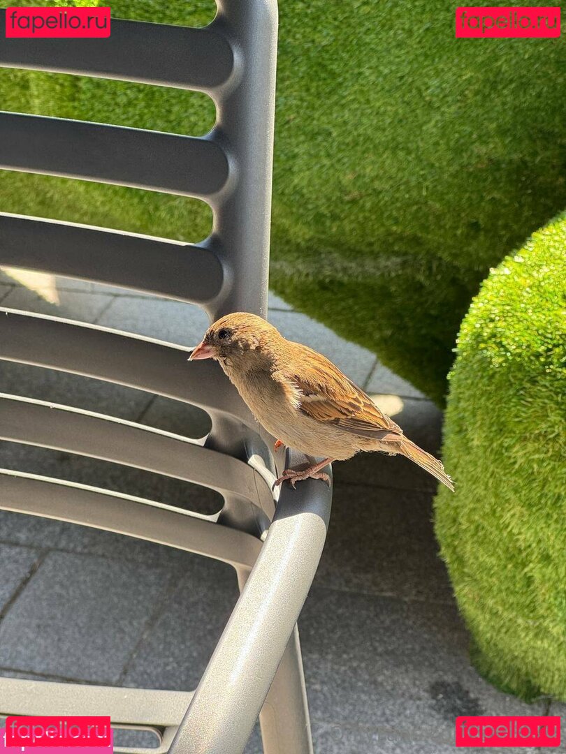 aisuxxx Onlyfans Photo Gallery 