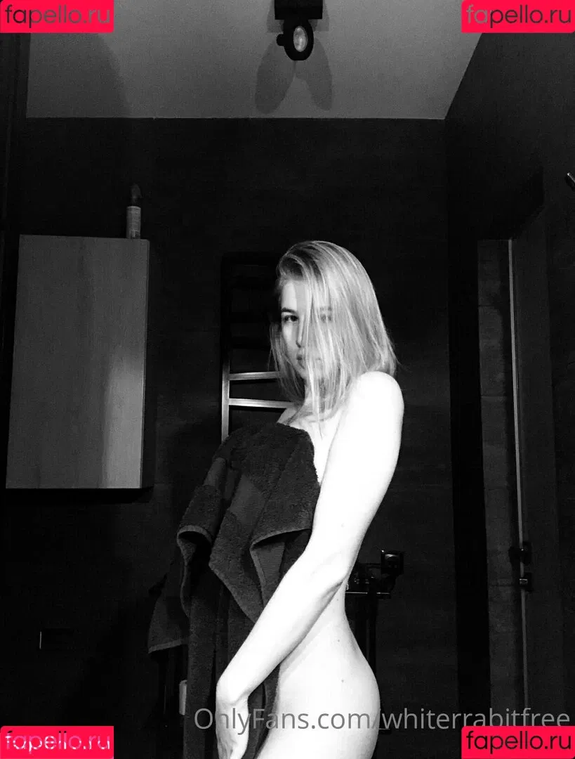 whiterrabitfree Onlyfans Photo Gallery 