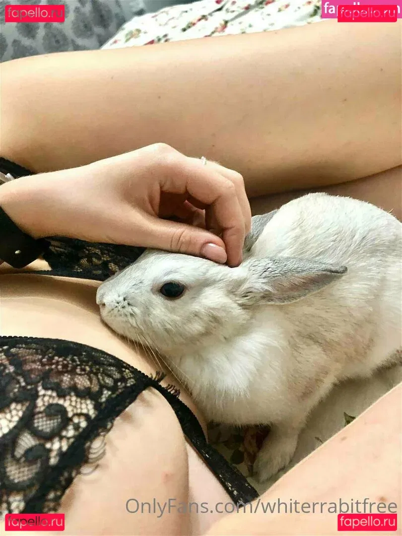 whiterrabitfree Onlyfans Photo Gallery 