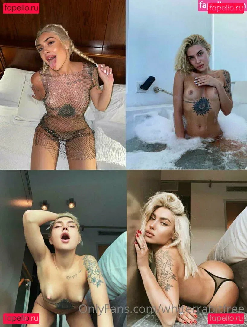 whiterrabitfree Onlyfans Photo Gallery 