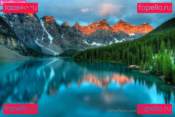 whiterrabitfree Onlyfans Photo Gallery 