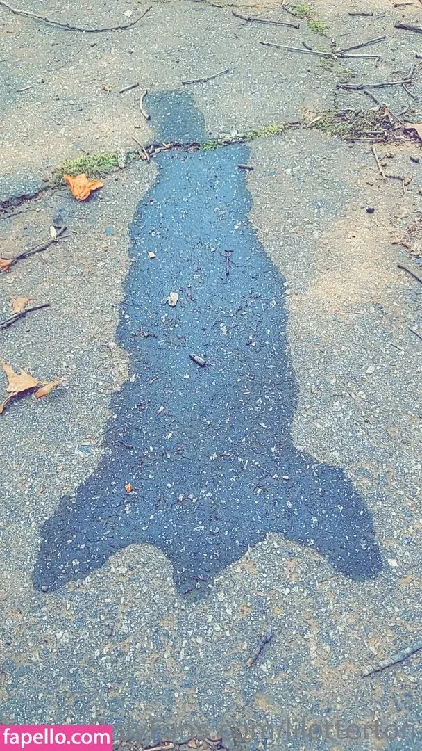 lilotterton Onlyfans Photo Gallery 