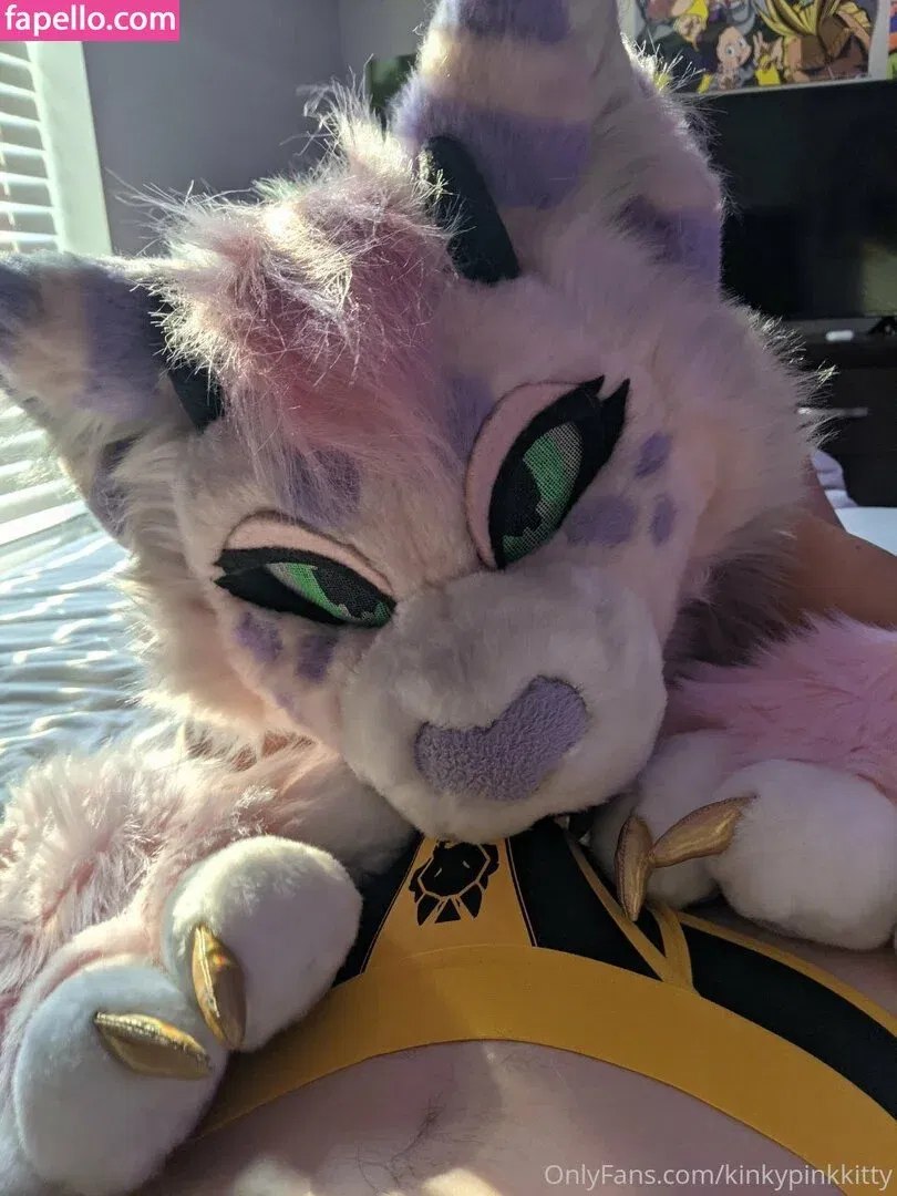 kinkypinkkitty Onlyfans Photo Gallery 